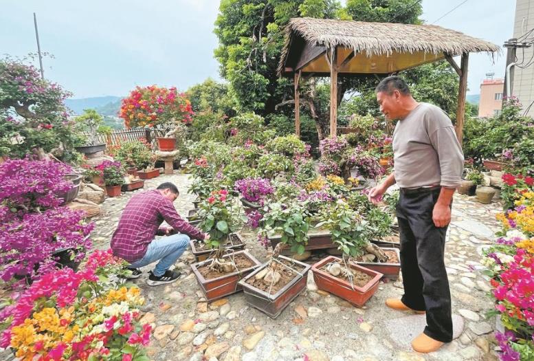 同安：立足资源禀赋 发力乡村振兴