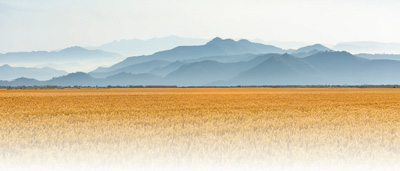 新时代文学的根扎向广阔大地(坚持“两创”·关注新时代文艺)