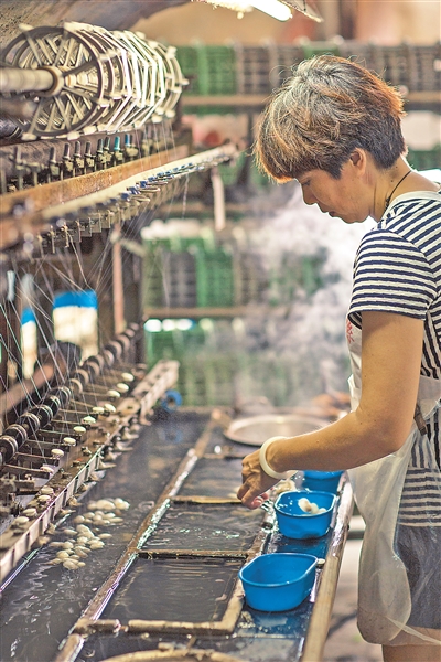 桑田丝韵 锦绣吴江(城市味道·行走县城看中国)