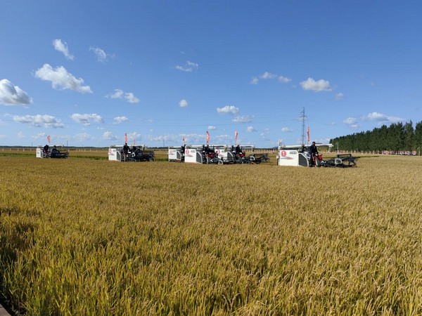 当好国家粮食安全“压舱石” 解码“二十连丰”的龙江担当