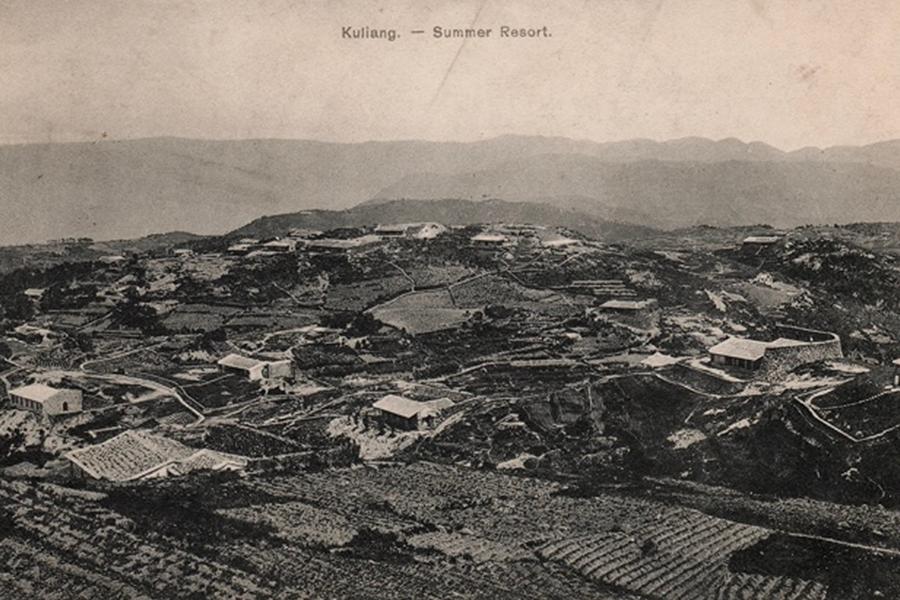 “鼓岭之友”,回“家”续缘